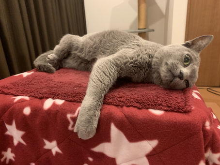 居心地の良い場の作り方