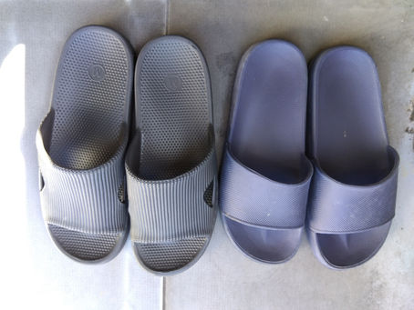 プロの仕事を体感!