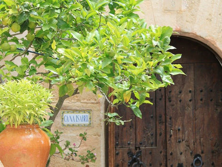 すごいブランディングです