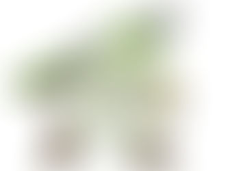 あなたの最強の武器はこれだっ!