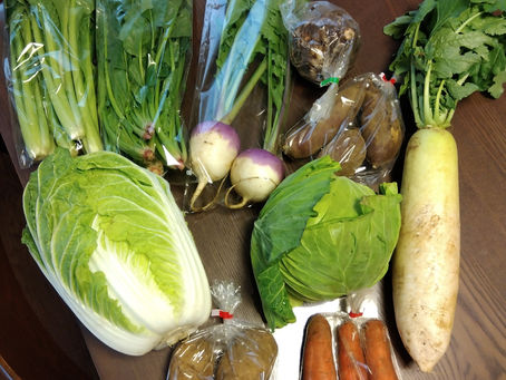 野菜大好きです!