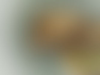 大切にしている言葉