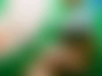 プラスの兆候をつかめ!