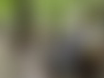 あなたを待っている人がいる!