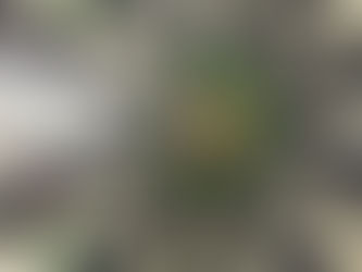 あなたのお客様は誰ですか?