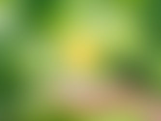 イベント運営で活躍する方法!