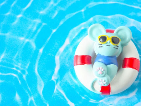 動いていると波紋は広がりますね!