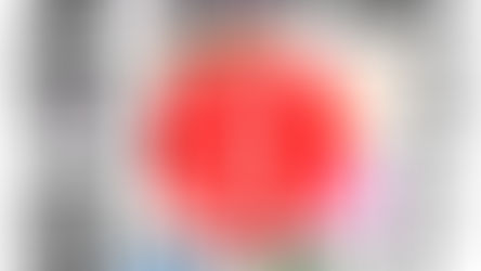 「ありがとう」を探す旅