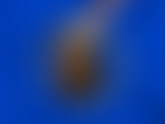 時間を有効に使いたーい!