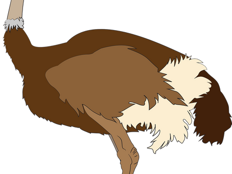 はーい!はーい!