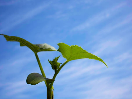 事業が成長する時はいつ?