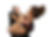 UnstoppableMe™