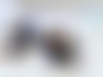 ピラティスクラス