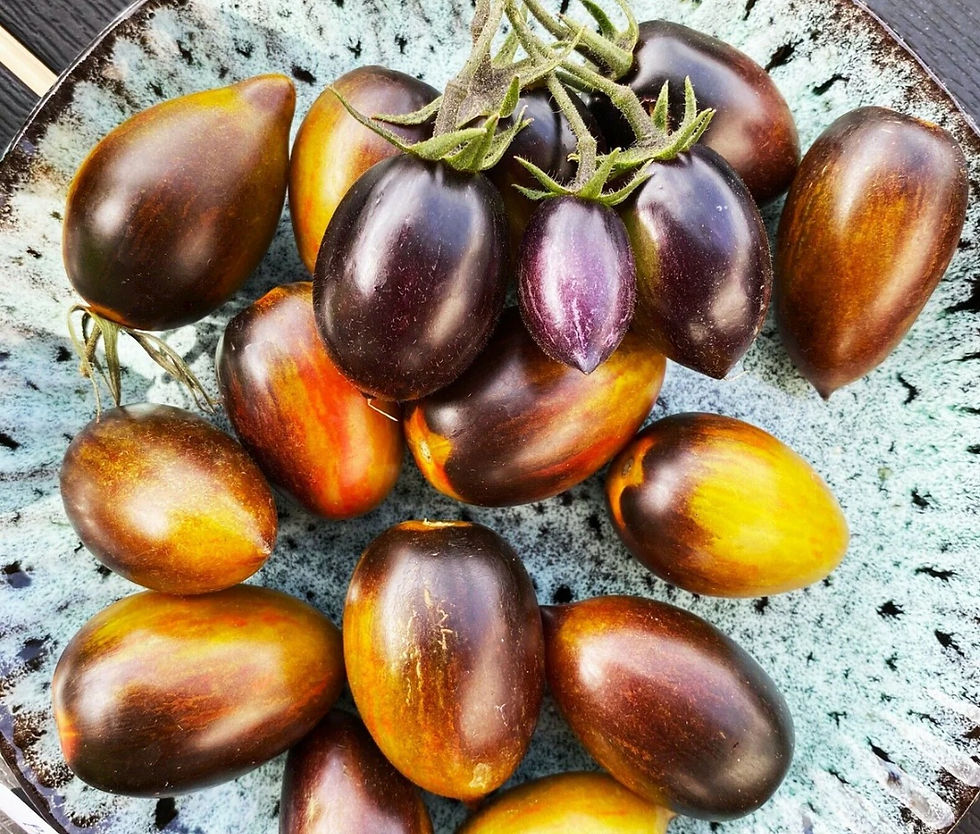 Miniature : Tomate mélange "Cerises"