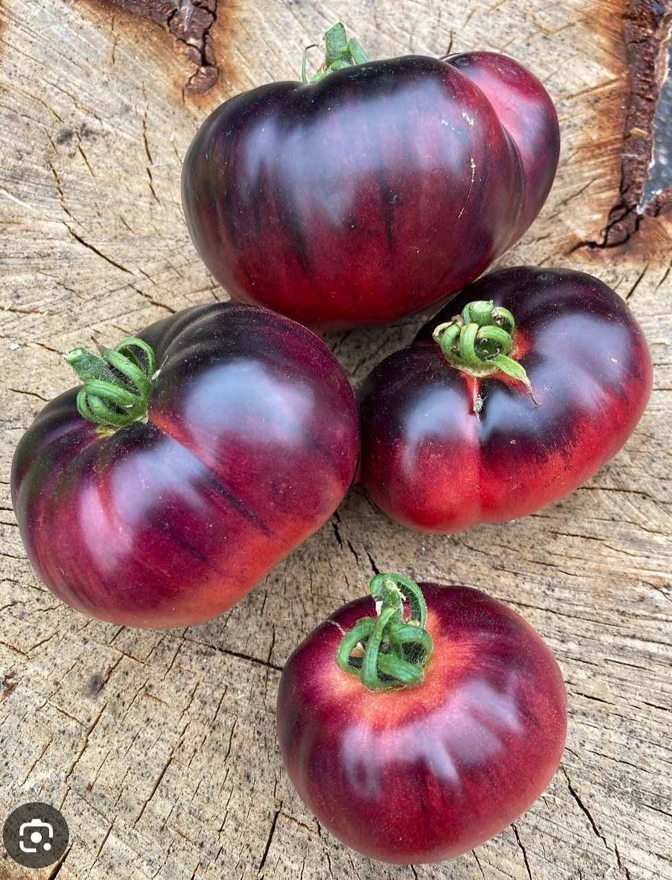 Miniature : Tomate mélange "Gros Fruits"