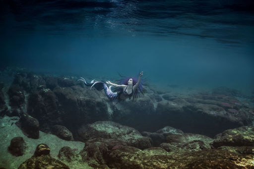 Tempus Fugit Mermaid Fantasy Art Print for hotels, rental properties, cafes by Trésor de la Mer, a Hospitality Design Partner - Mermaid for Hire, Mermaid Art Prints, Hospitality Design