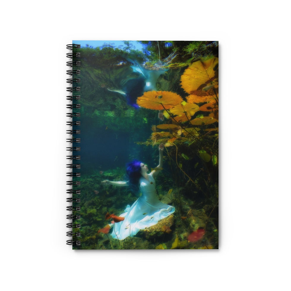 Tresor de la Mer Eve Ballet Fantasy Notebook and Journal School Supplies