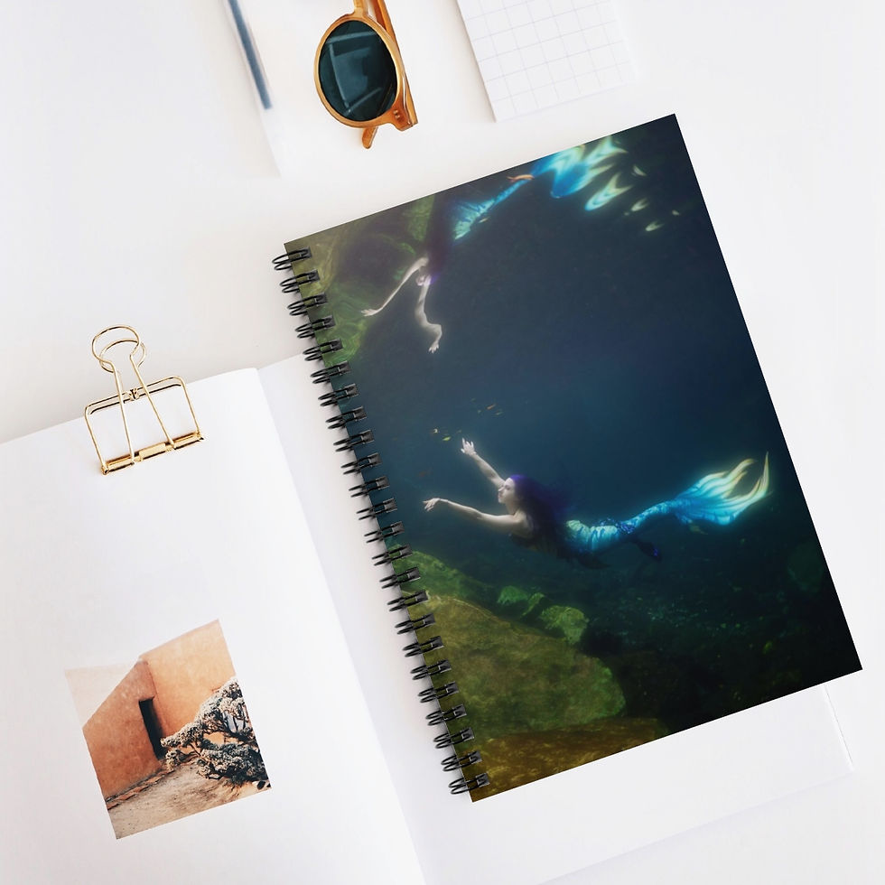 Miniature : Tresor de la Mer Within Mermaid Notebook and Journal School Supplies
