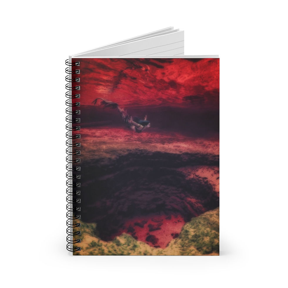 Miniaturbild: Tresor de la Mer Hellbound Mermaid Notebook and Journal School Supplies