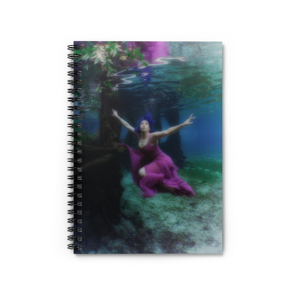 Tresor de la Mer Ascension Ballet Fantasy Notebook and Journal School Supplies