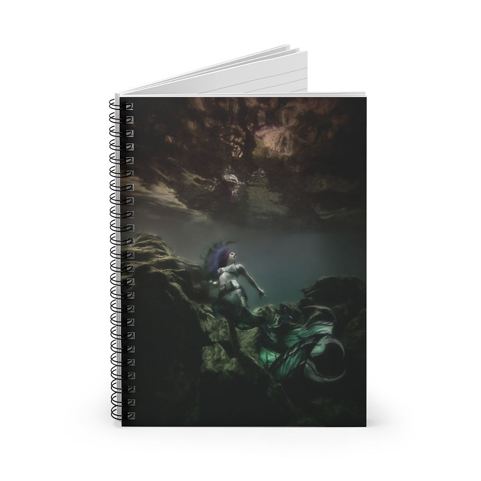 Miniature : Tresor de la Mer Medusa Mermaid Notebook and Journal School Supplies
