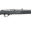 Miniatura: RUGER 10/22 CARBINE INOX