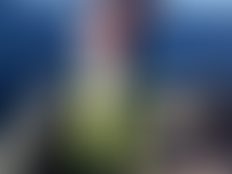 Fisherman develop app to log catch