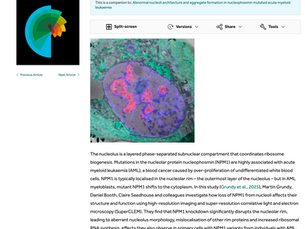 NLA-funded research published