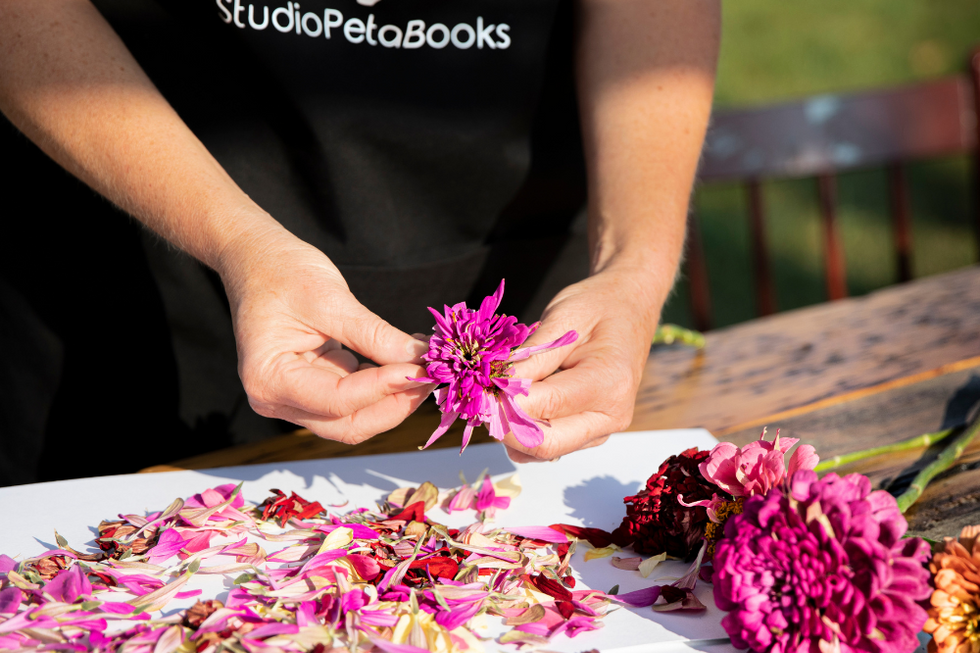 Separating flower petals for ecoprinting
