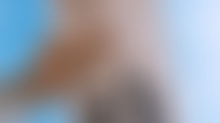 June Favourite: Sandcastle Kings