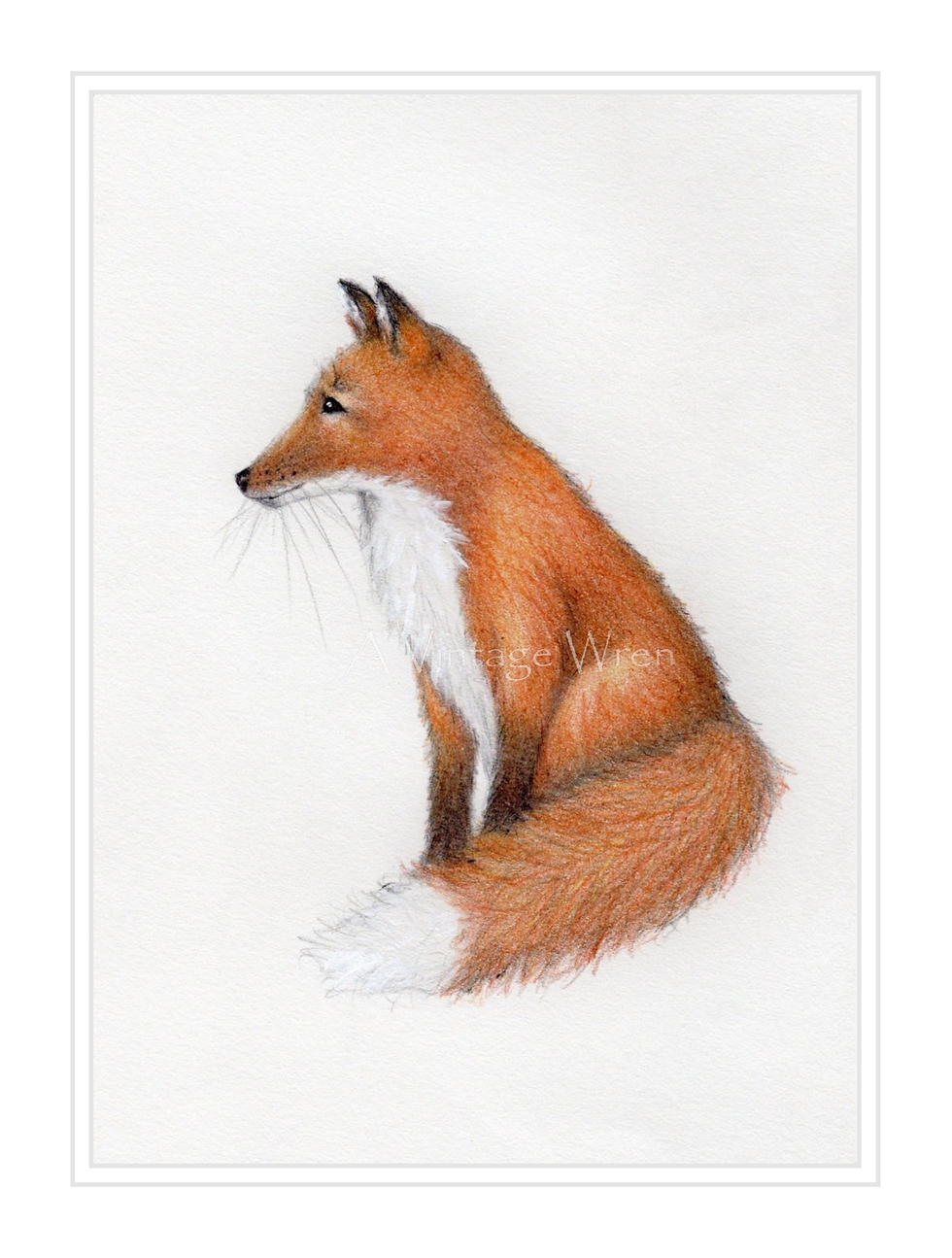 Thumbnail: fox watercolor paining