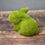 Thumbnail: Set of 3  Moss Bunnies / Easter Bunnies / Spring Decor