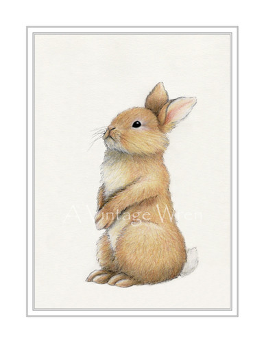 Bunny Rabbit Art Print With Double Mat / Rabbit illustration
