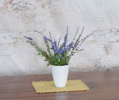 lavender in white vase