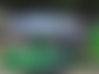 Festival da Primavera valoriza cultura local e promove sustentabilidade em Porciúncula-RJ