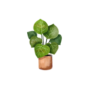 Posts FEE (english) (2).png