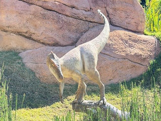 Fósseis e até fezes petrificadas: como paleontólogos descobrem os hábitos dos dinossauros