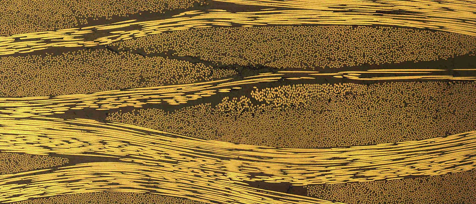 Optical Microscopy