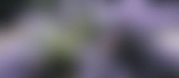 Part Deux- Les Deux Alpes