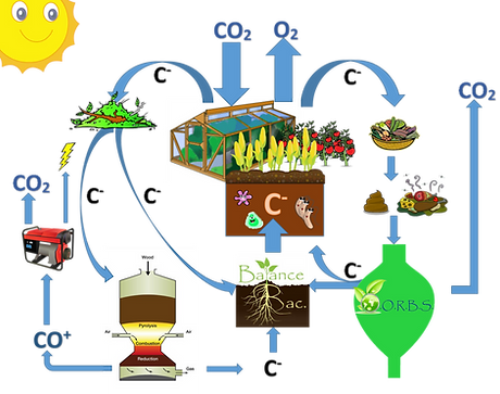 living planet solutions integrated approach to horticulture