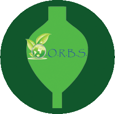 OORBS Gif.gif