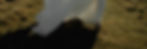 who_are_we_2.jpg