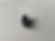 5201 BANG OLUFSEN SAPHIR SP1 SP2 SP3 SP4 SP5 SP6 SP7 SP8 SP9
