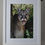 Thumbnail: Smiling Cougar