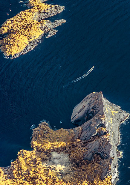 _DSC0182-Avec accentuation-NR copie 2.jpg