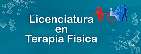 LIC. EN TERAPIA FÍSICA | upmys
