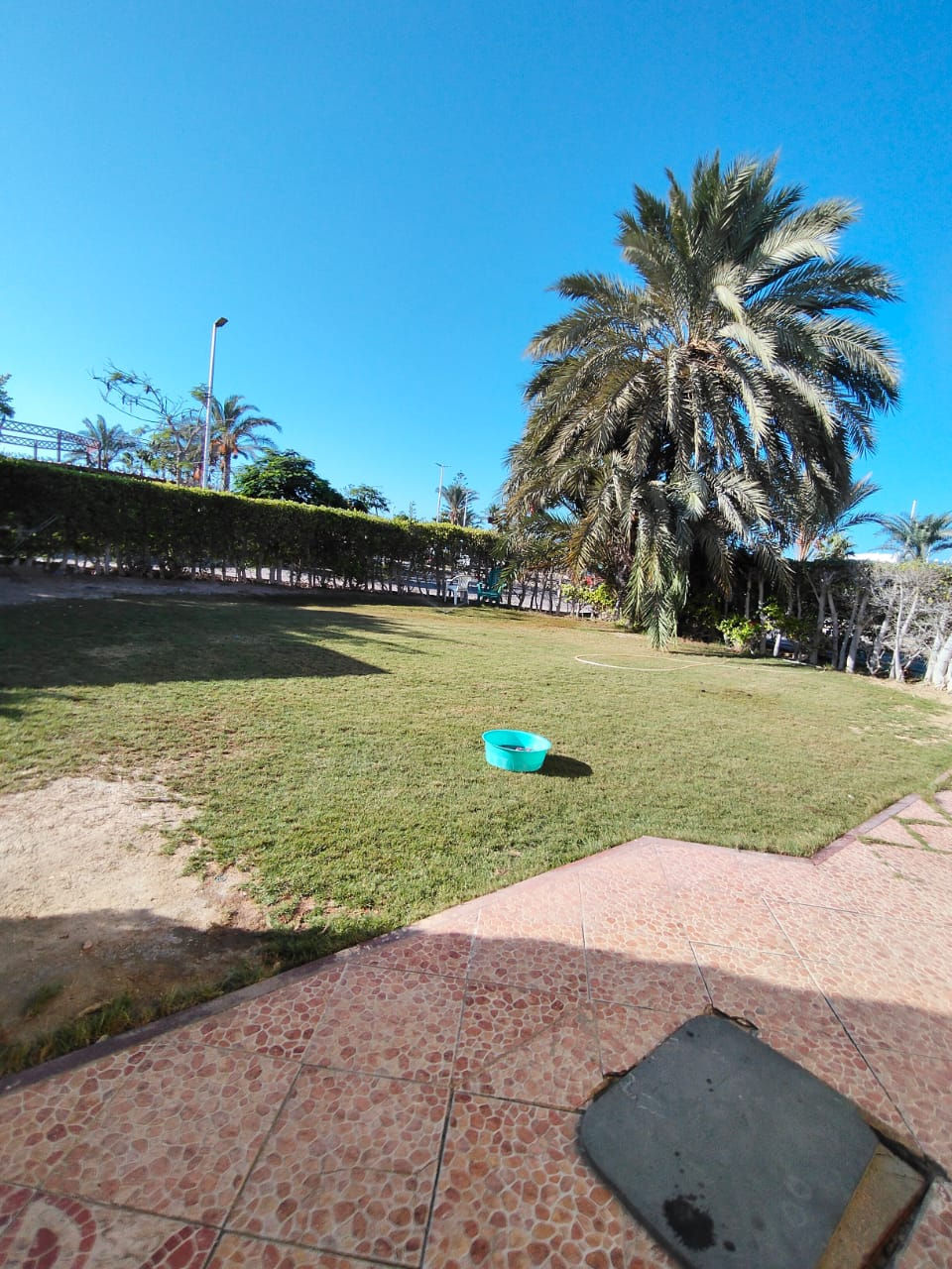 EGP 35,000,000