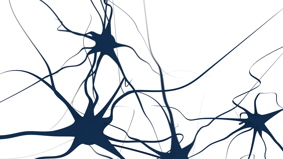neurons