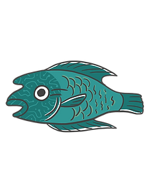 曲紋唇魚2.png