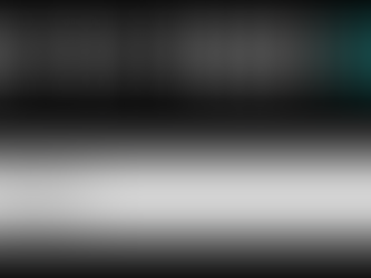No One Lies to Their Search Bar